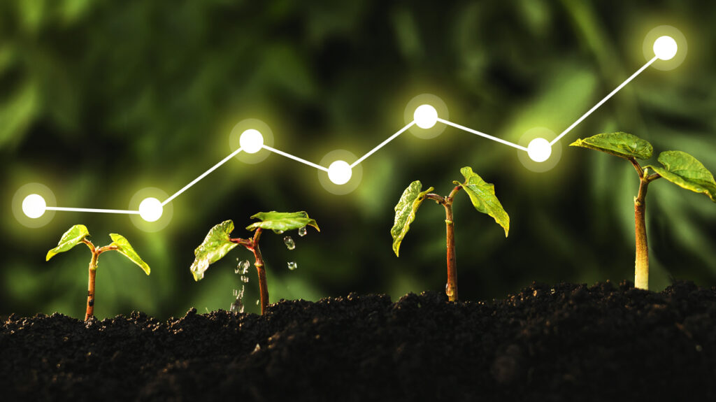 Ethical Investing: The Future of Financial Markets